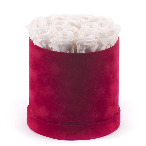 Preserved red suede round box 15 cream roses "L"